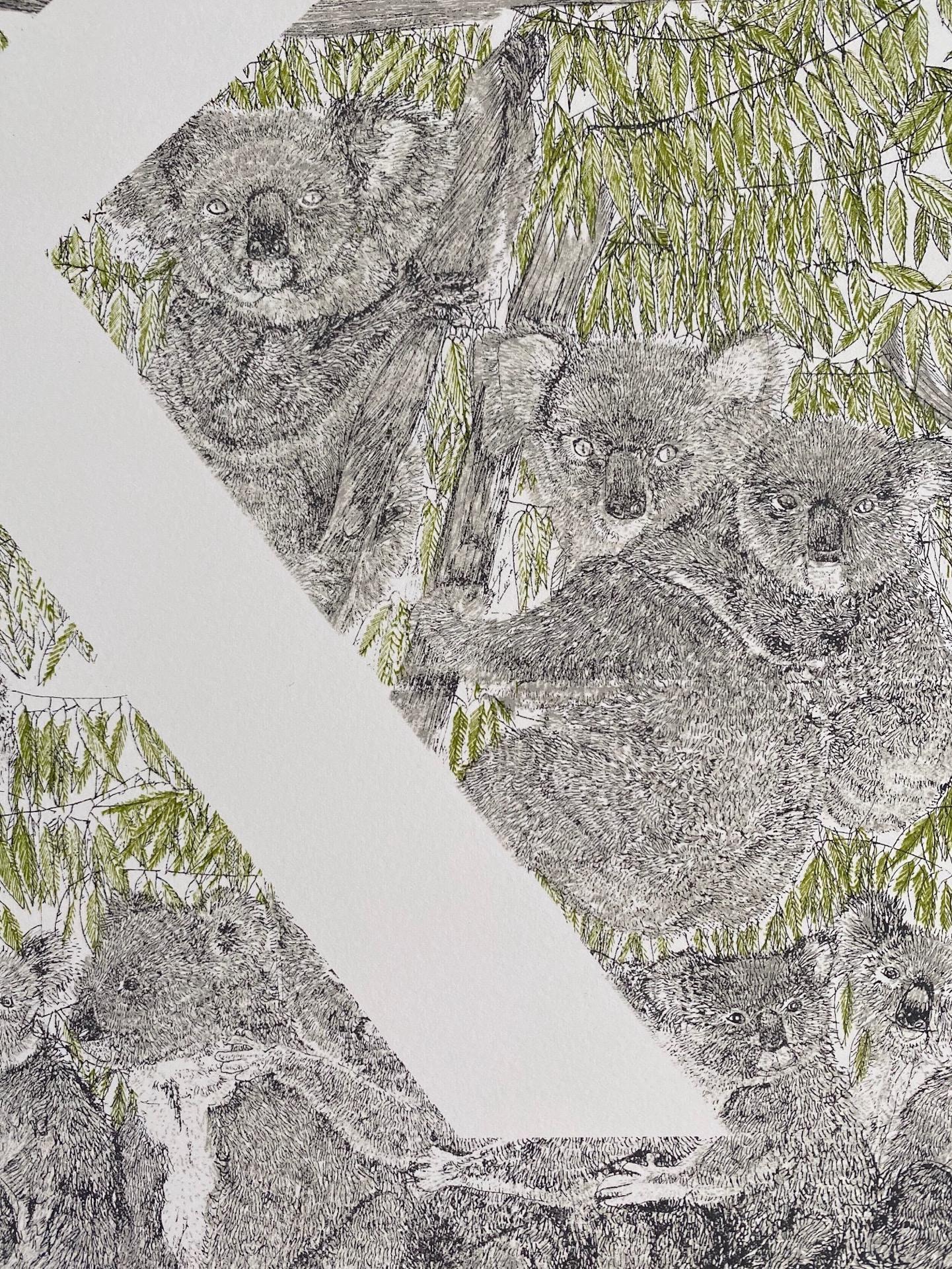 Clare Halifax, K is for Koala, Limited Edition Print, Animal Print, Monogram Art For Sale 3