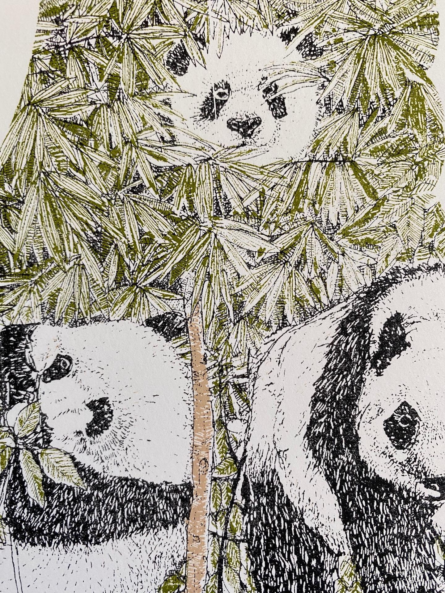 Clare Halifax, P is for Panda, Affordable Contemporary Art, Alphabet Prints 3