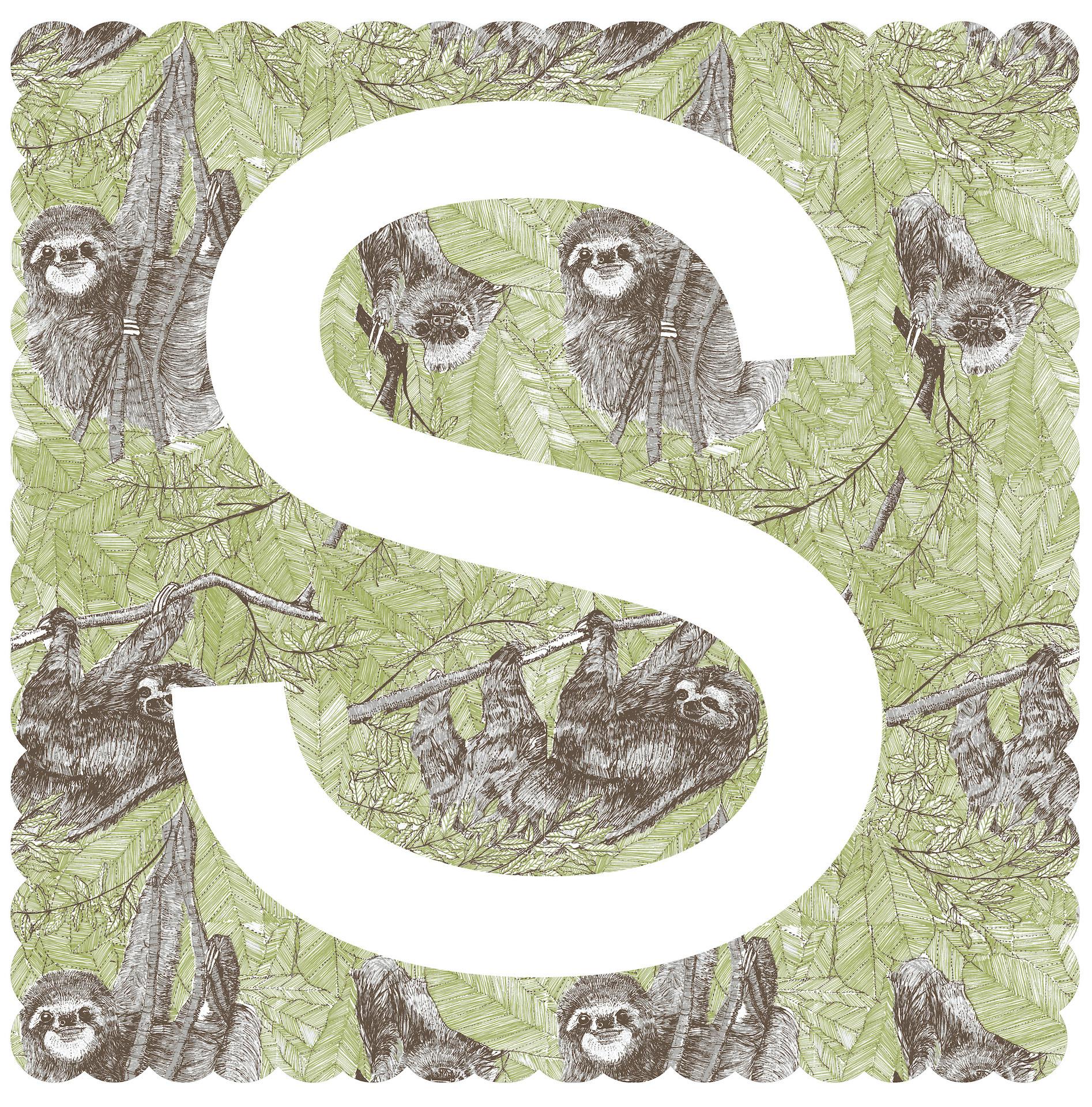 Clare Halifax, S is for Sloth, Affordable Art, Animal Art, Chidren's Art