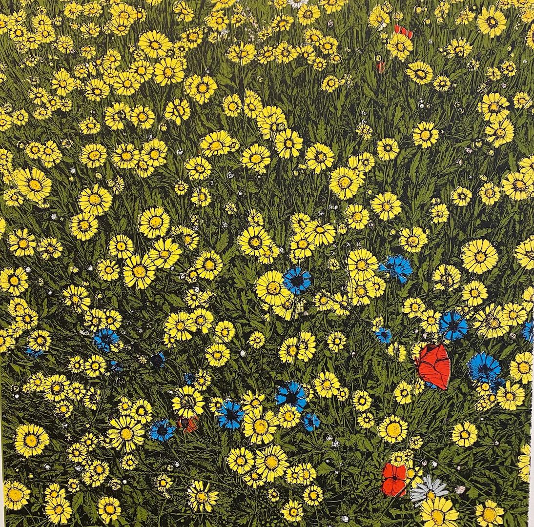 Clare Halifax, Summer Wildflower, Floral Art, Affordable Art