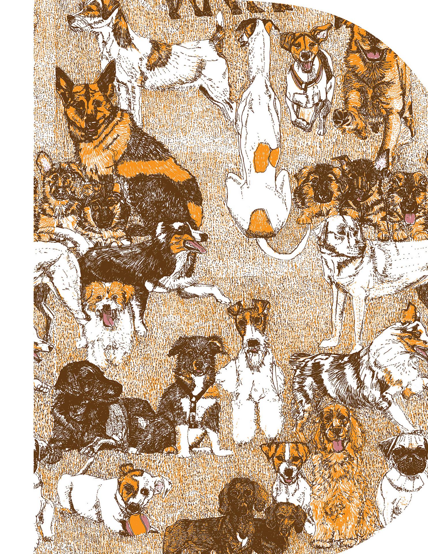D ist for Dog, Clare Halifax, Alphabet Art, Druck in limitierter Auflage, Tierkunst im Angebot 3