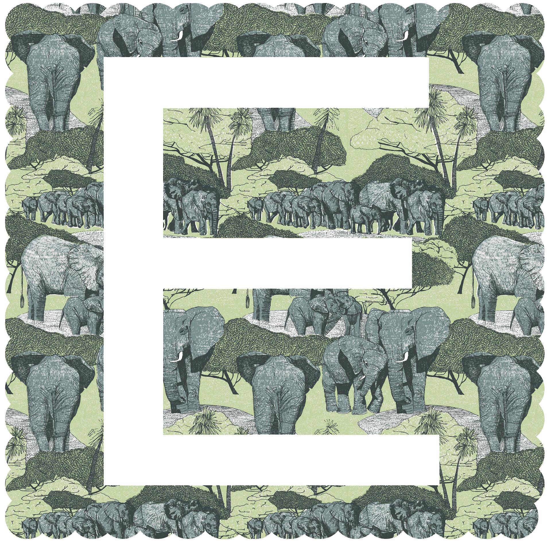 E is for Elephant, Clare Halifax, estampes en édition limitée, Alphabet Art, Gift Art