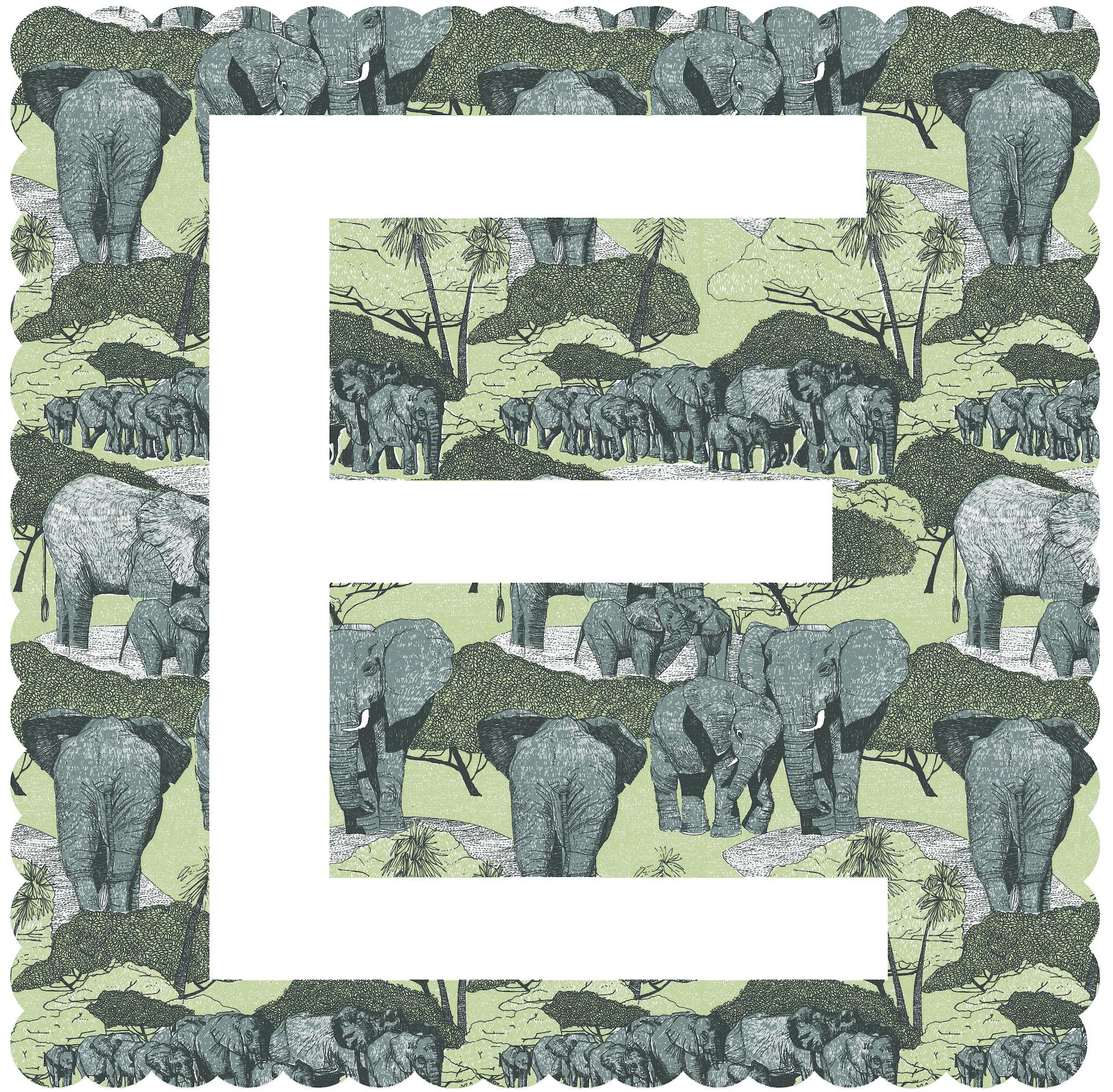 E is for Elephant, Clare Halifax, Stampe in edizione limitata, Arte dell'alfabeto, Arte da regalo