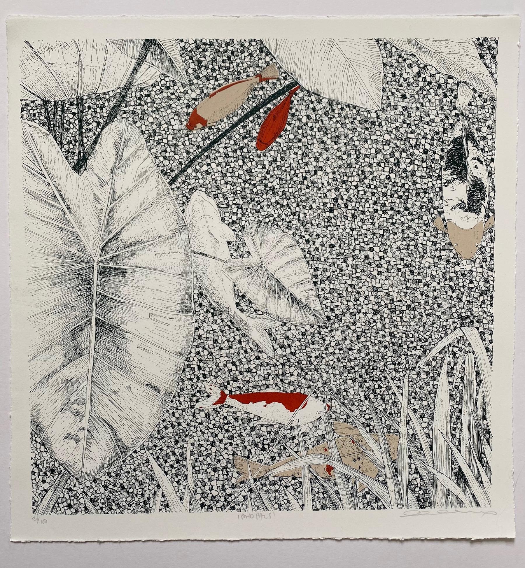 Pals d'étang, art poisson, impressions d'animaux, art contemporain, moins de 1 000 $ - Gris Still-Life Print par Clare Halifax