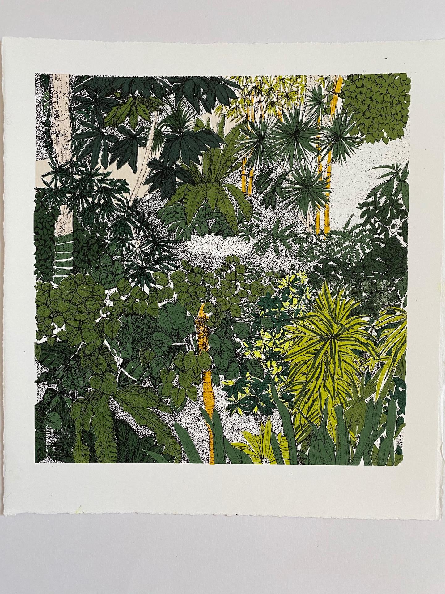 Vista tropicale, Barbican, Stampa botanica in edizione limitata, Paesaggio, Nature - Print Contemporaneo di Clare Halifax