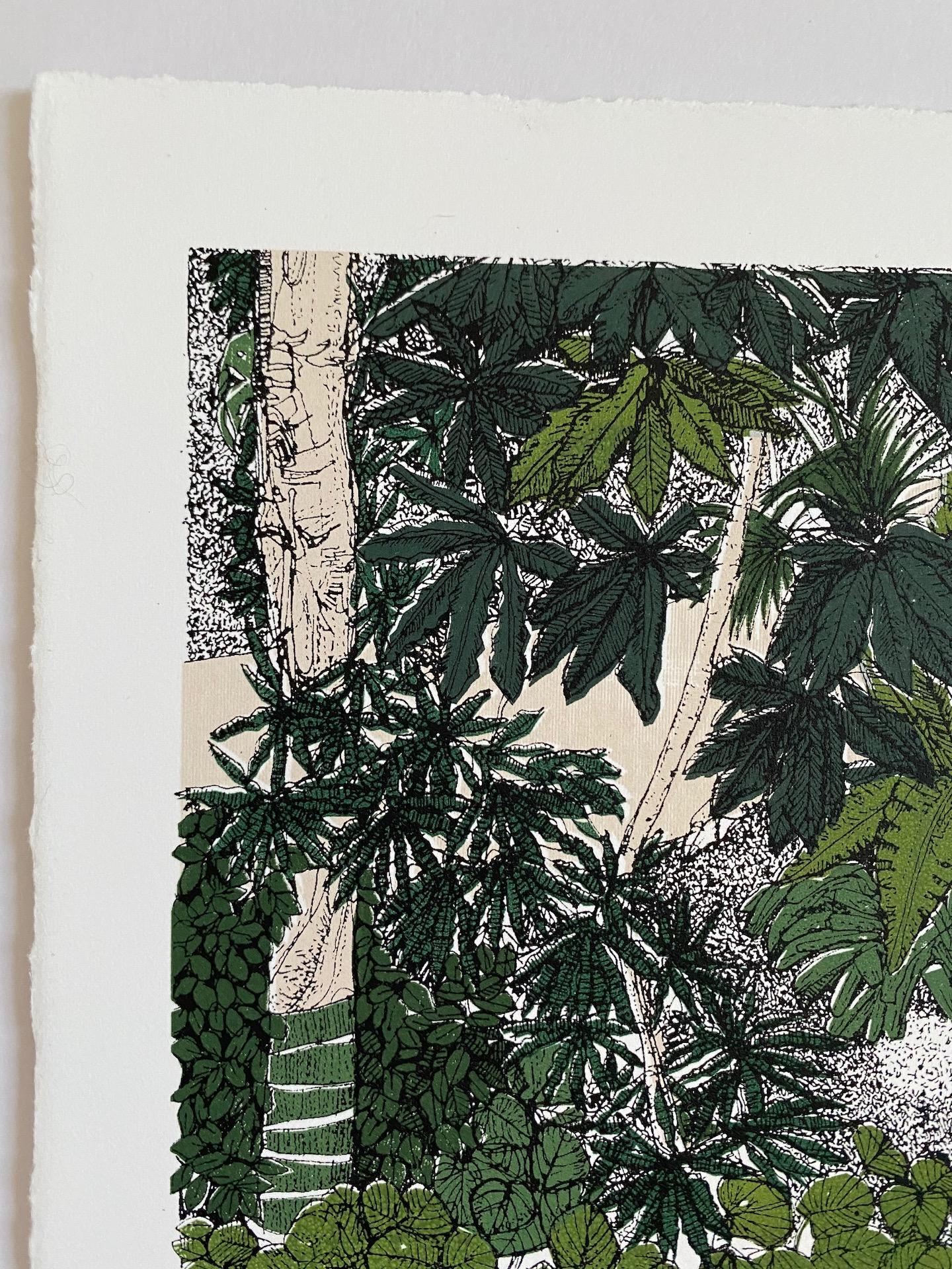 Tropical Overlook è una stampa in edizione limitata di Clare Halifax. Clare Halifax ha realizzato una serigrafia a 10 colori stampata a mano dall'artista su raso somerset da 300 grammi con bordo deckle.

INFORMAZIONI AGGIUNTIVE:  

Clare