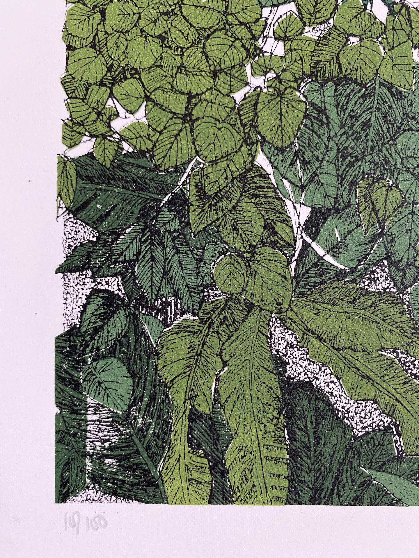 Vista tropicale, Barbican, Stampa botanica in edizione limitata, Paesaggio, Nature 2