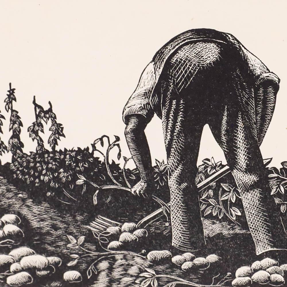 Clare Leighton (1898-1989) - Mitte des 20. Jahrhunderts Lithographie, Kartoffeln graben im Angebot 2