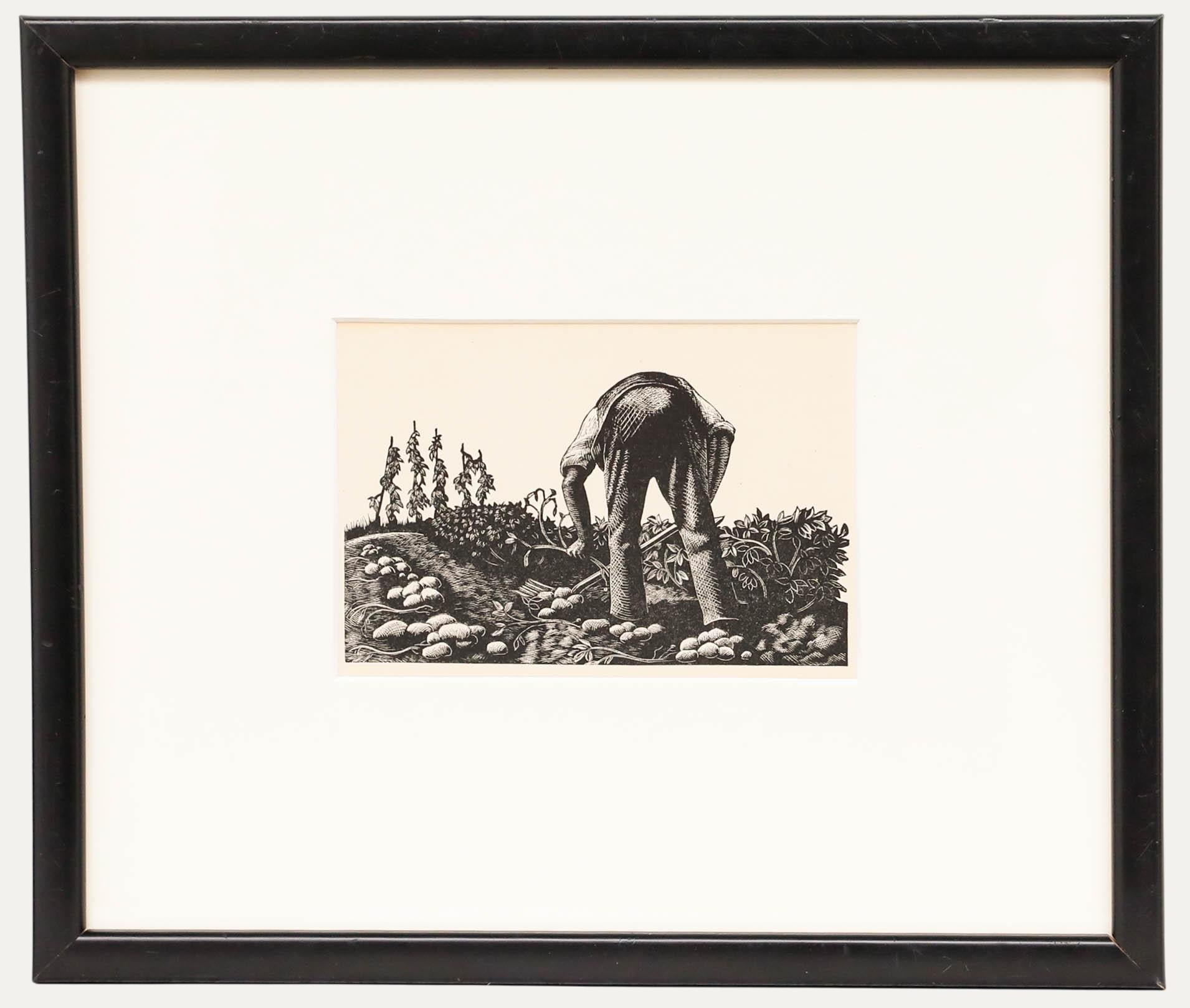 Clare Leighton (1898-1989) - Mitte des 20. Jahrhunderts Lithographie, Kartoffeln graben