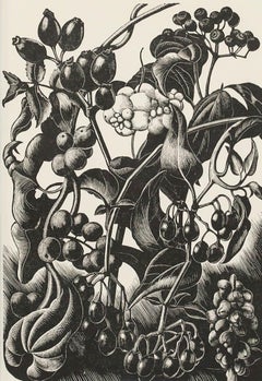 Clare Leighton (1898-1989) - Mid 20th Century Woodcut, Berries