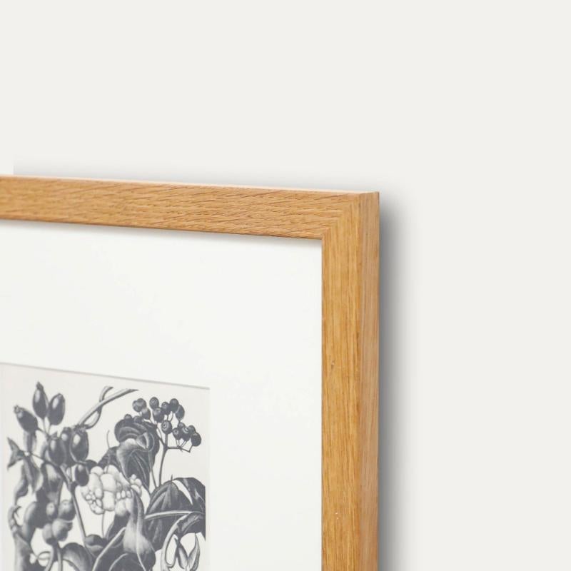 Clare Leighton (1898-1989) - Mitte 20. Jahrhundert Holzschnitt, Beeren im Angebot 4