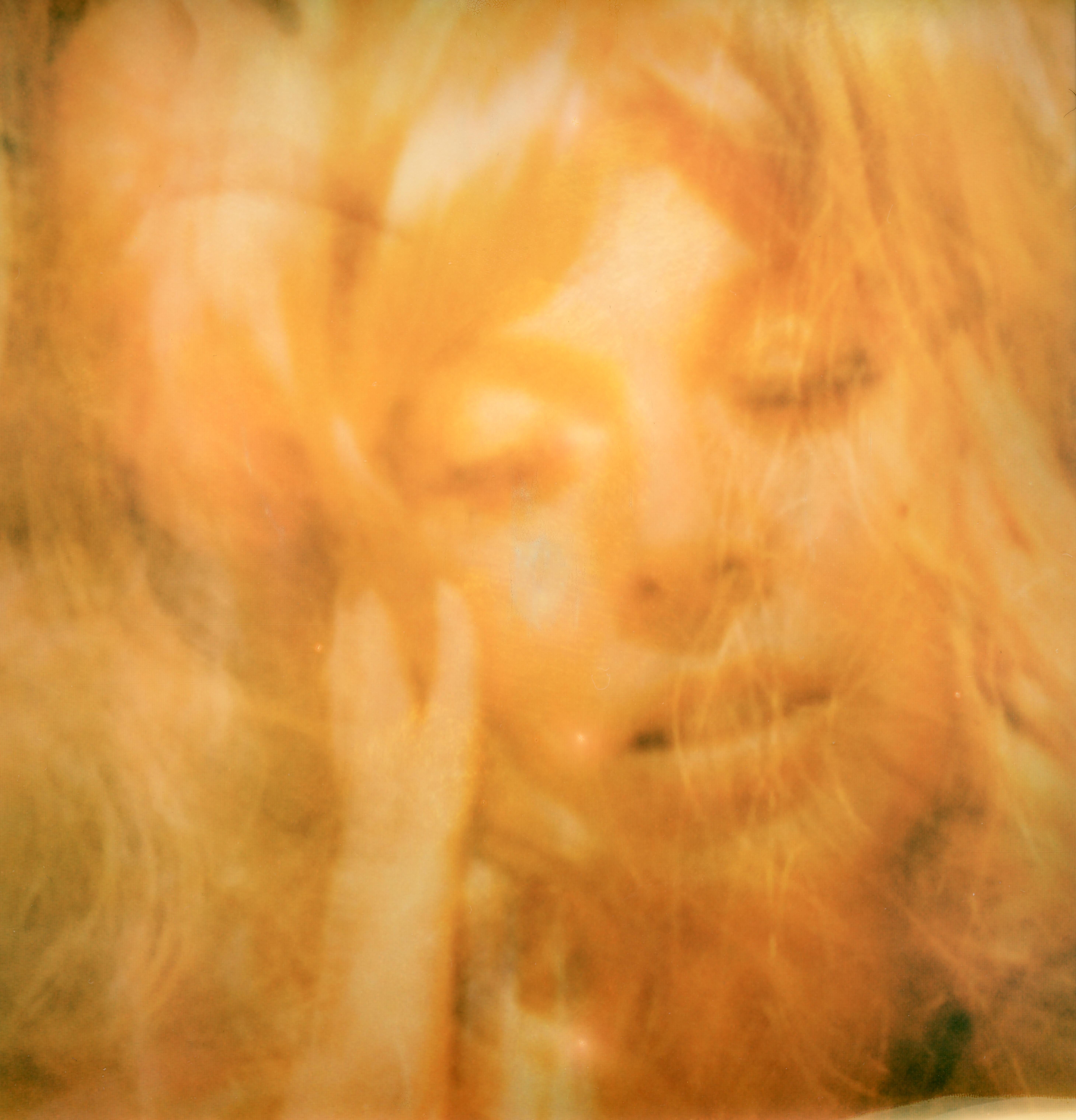 The Nightley Disease - Contemporary, Polaroid, Photograph, Figurative, Portrait