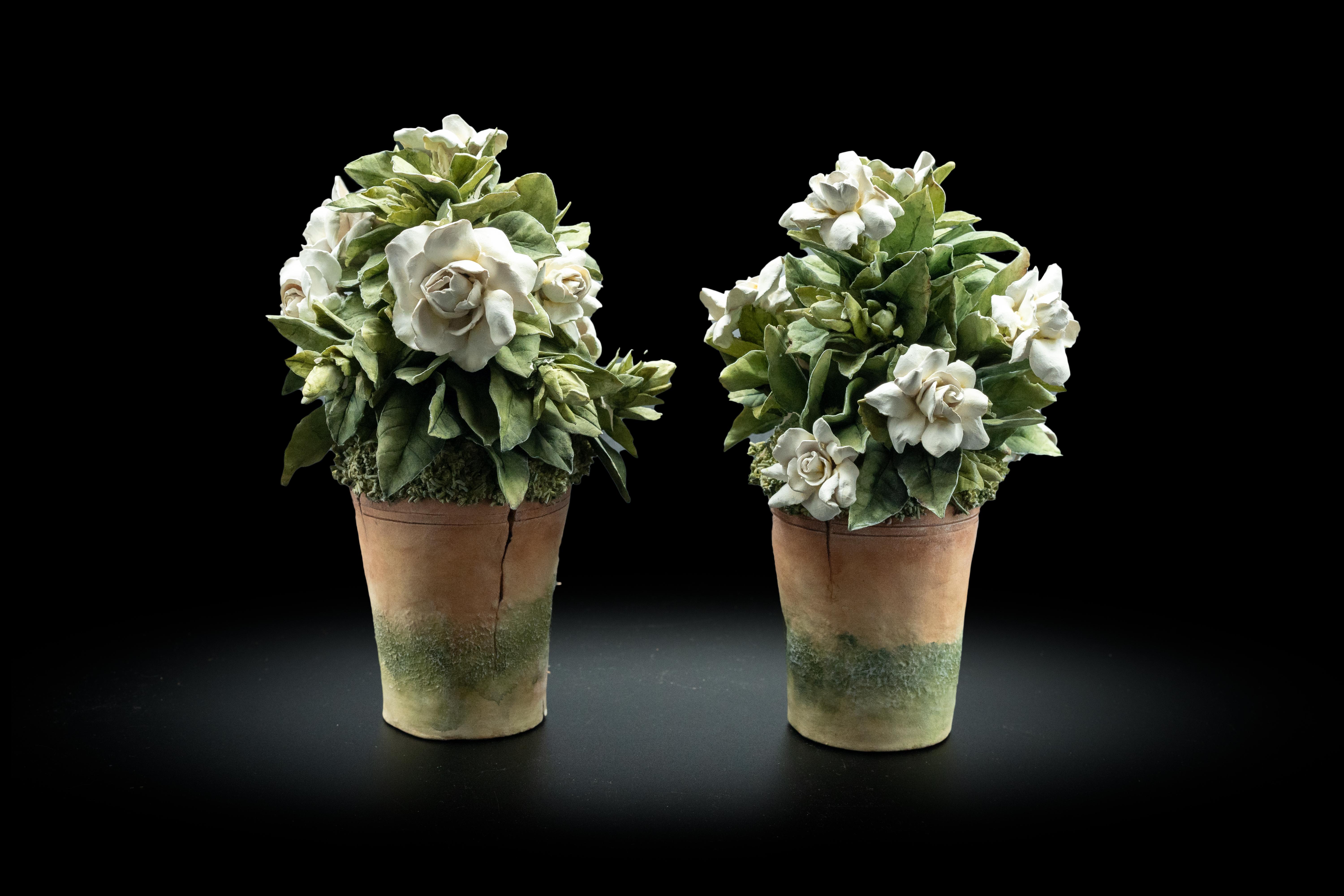 Clare Potter Pair of Porcelain White Gardenias in Pots In Fair Condition In New York, NY