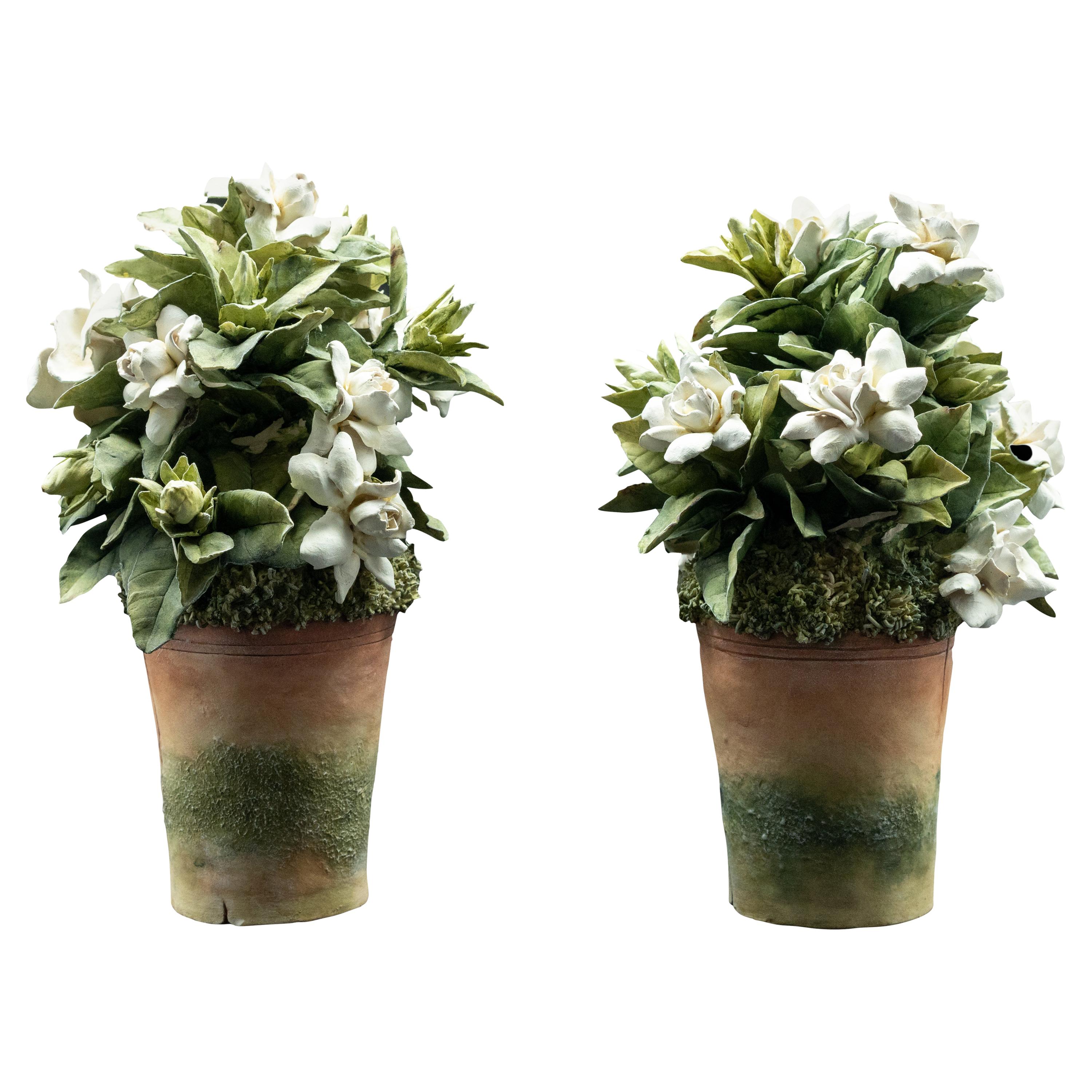 Clare Potter Pair of Porcelain White Gardenias in Pots