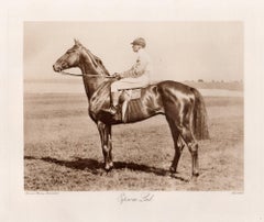 „Epsom Lad“, englisches Rennpferd, Sepia-Fotogravur zum Thema Pferderennen, 1906