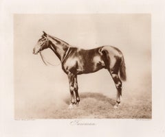 Fairman, cheval de course anglais, photogravure sépia sur le thème des courses hippiques, 1906
