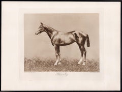 Glass Jug, English racehorse, horse racing sepia photogravure, 1906