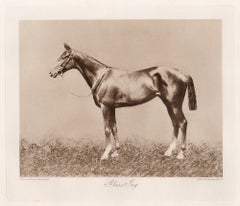 Glass Jug, English racehorse, horse racing sepia photogravure, 1906