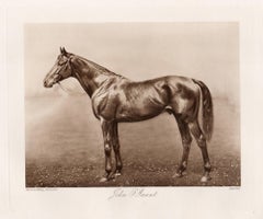 John O'Gaunt, English racehorse, horse racing sepia photogravure, 1906