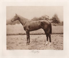 Llangibby, cheval de course anglais, photogravure sépia sur le thème des courses hippiques, 1906