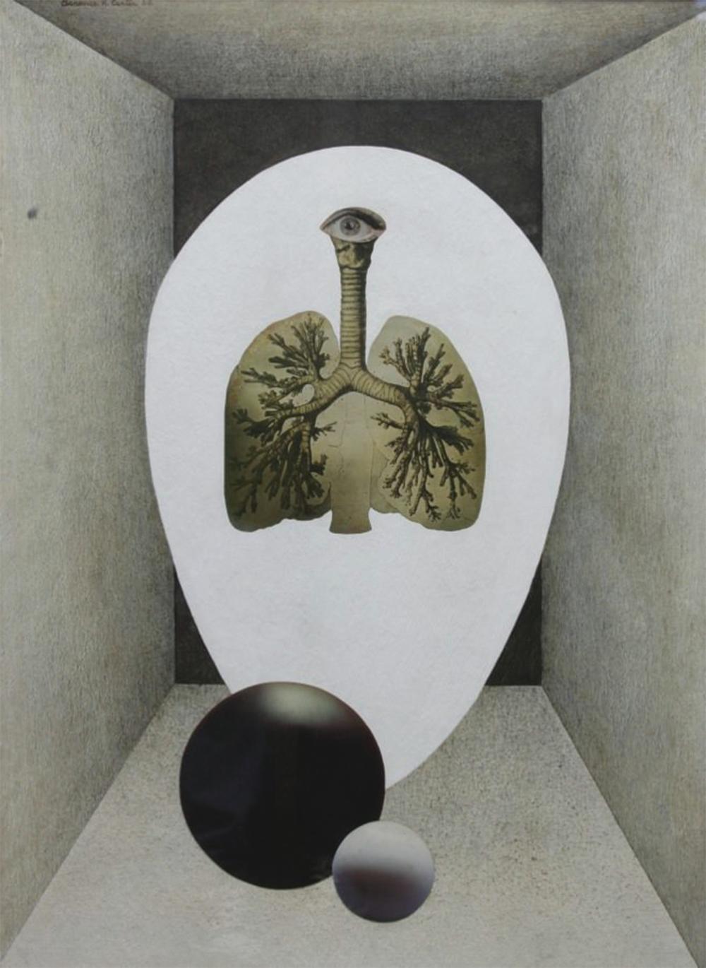 Cámara de aire, Collage abstracto figurativo de mediados de siglo, Anatomía y ovoides