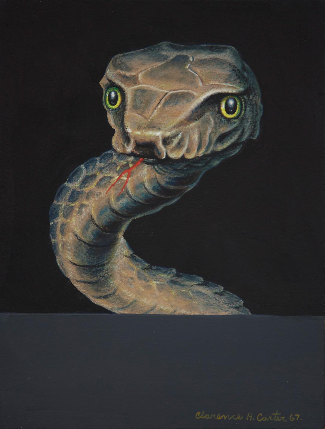 Over and Above Surprise (Serpent), 1960s snake painting, Cleveland School - Black Animal Painting by Clarence Holbrook Carter