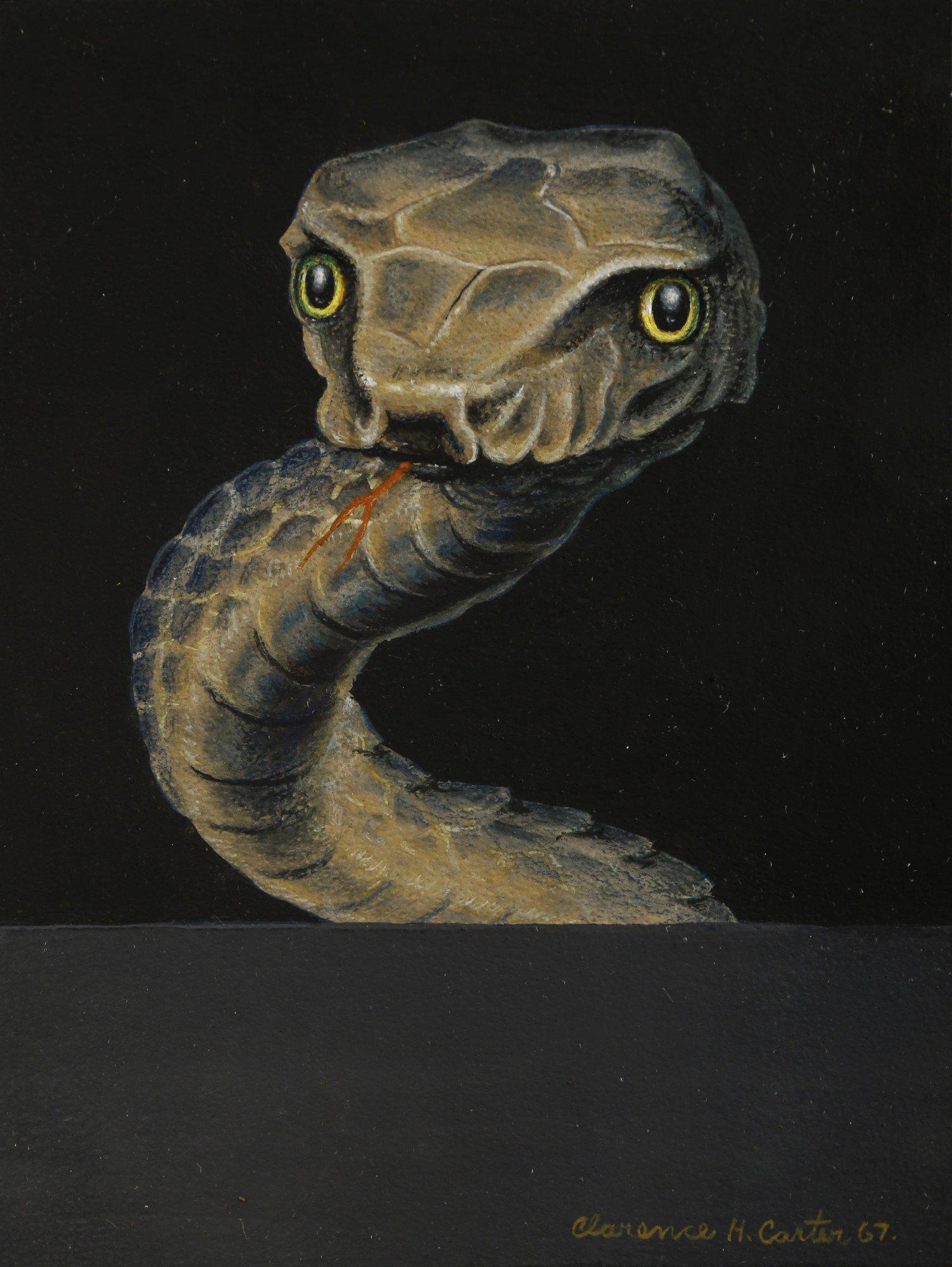 Animal Painting Clarence Holbrook Carter - Over and Above Surprise (Serpent), peinture de serpent des années 1960, Cleveland School 