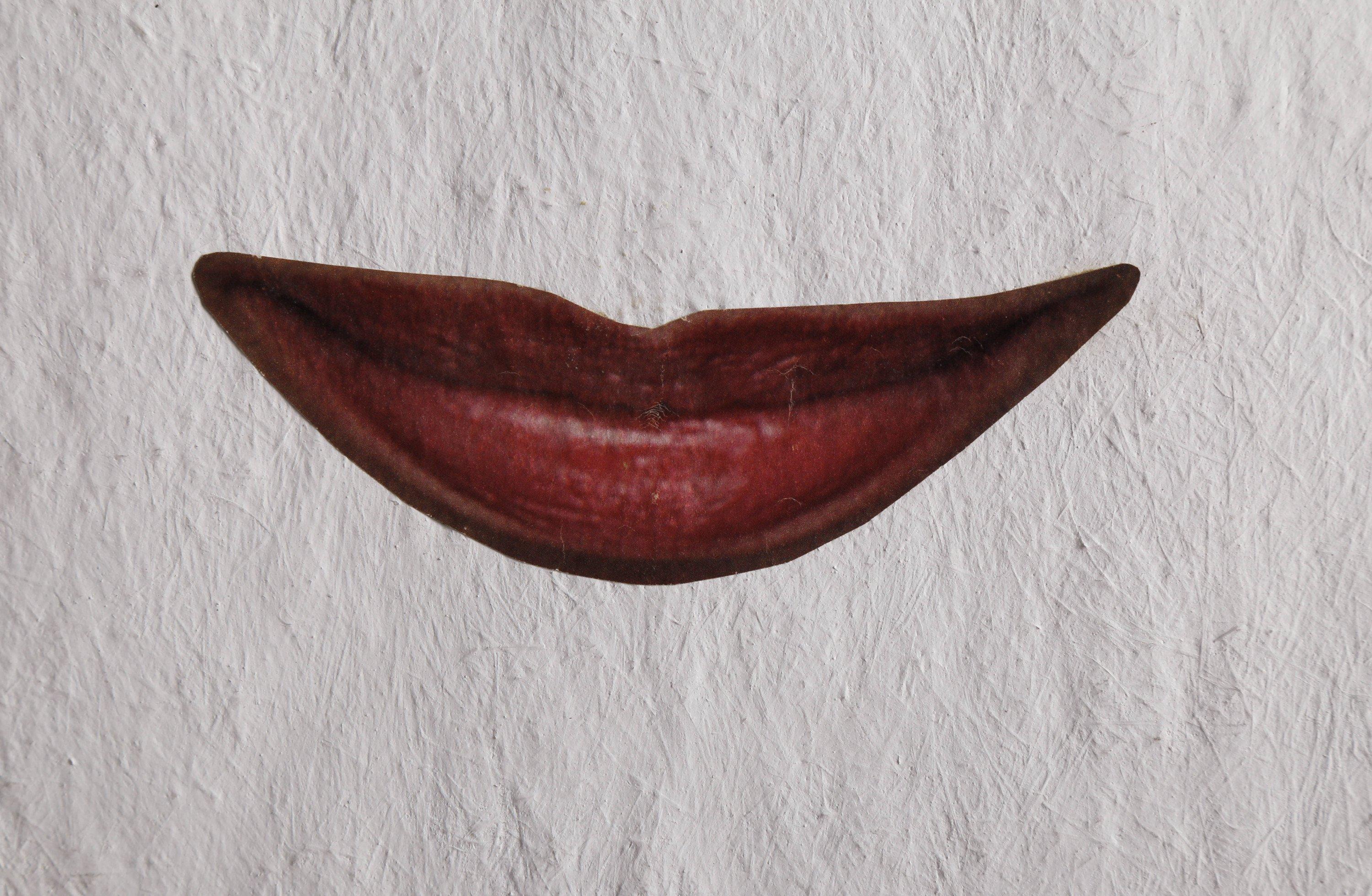 Uovo di Vetriculus, pittura surrealista ovoidale in acrilico e collage, astratto figurato - Painting American Modern di Clarence Holbrook Carter