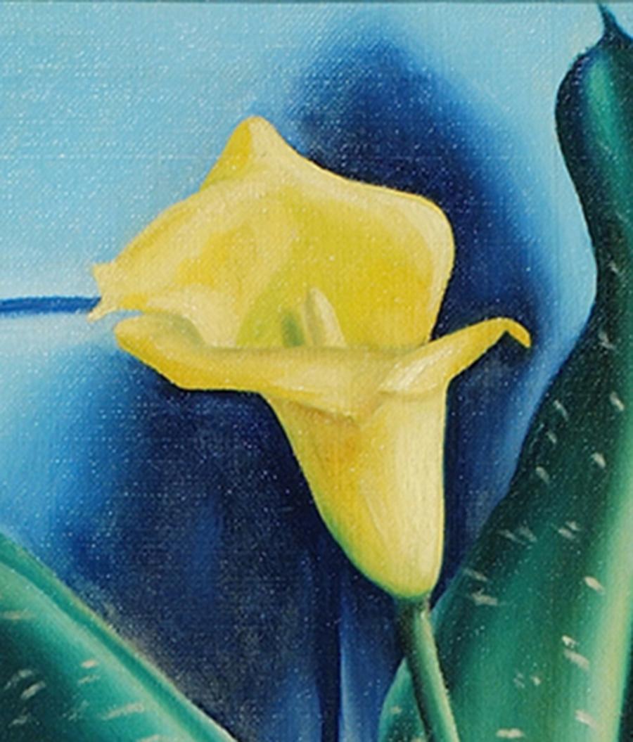 calla piccola colorata
