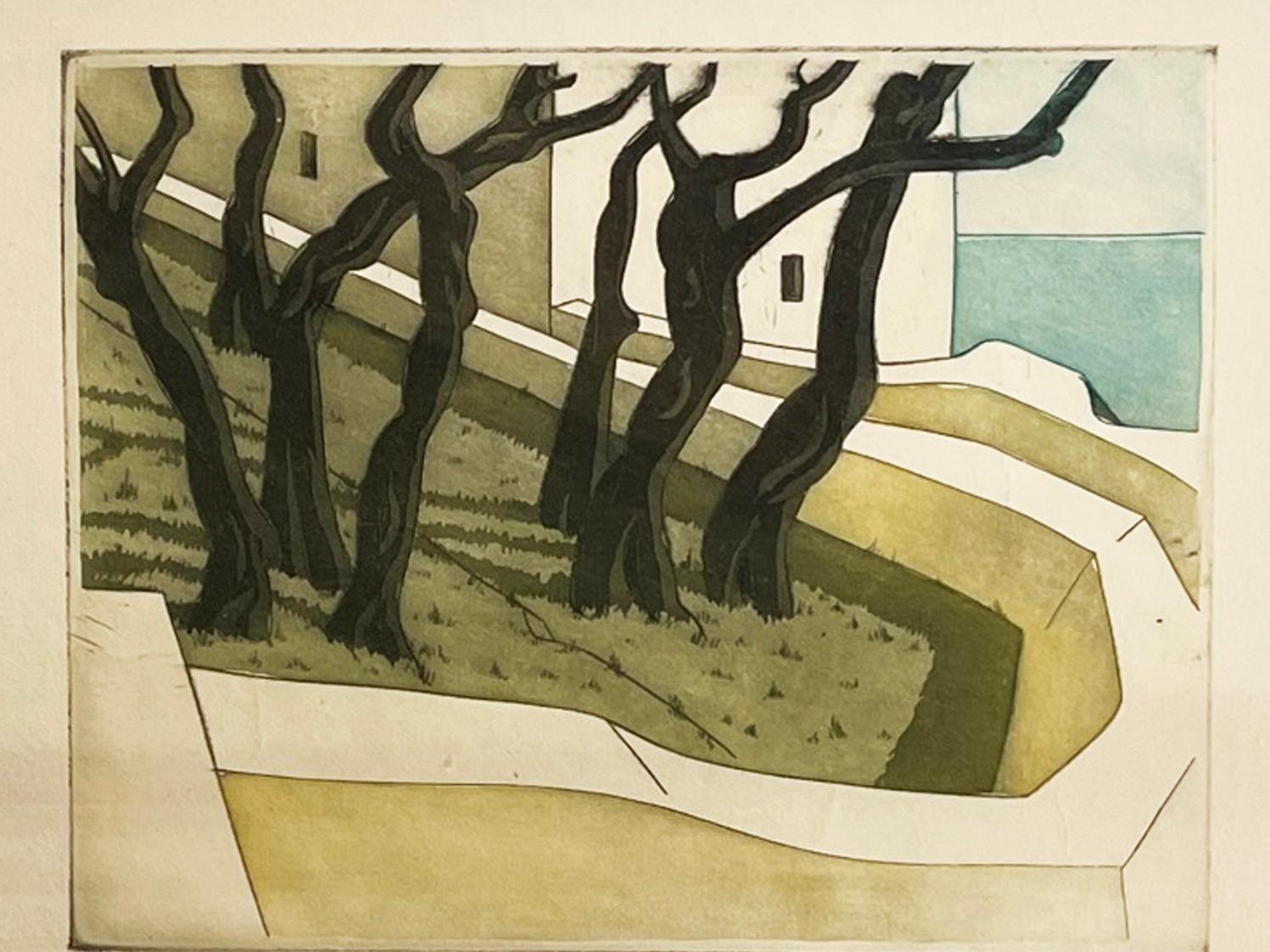 Clarence Holbrook Carter Landscape Print - OLIVE TREES, CAPRI
