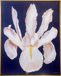 Fotorealismo Natura Morta Pittura Acrilica Fiore Foto Realista Orchidea, Blu Vivace