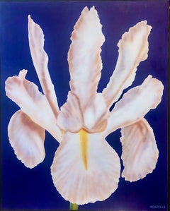 Vintage Photorealism Still Life Acrylic Painting Flower Photo Realist Orchid, Vivid Blue