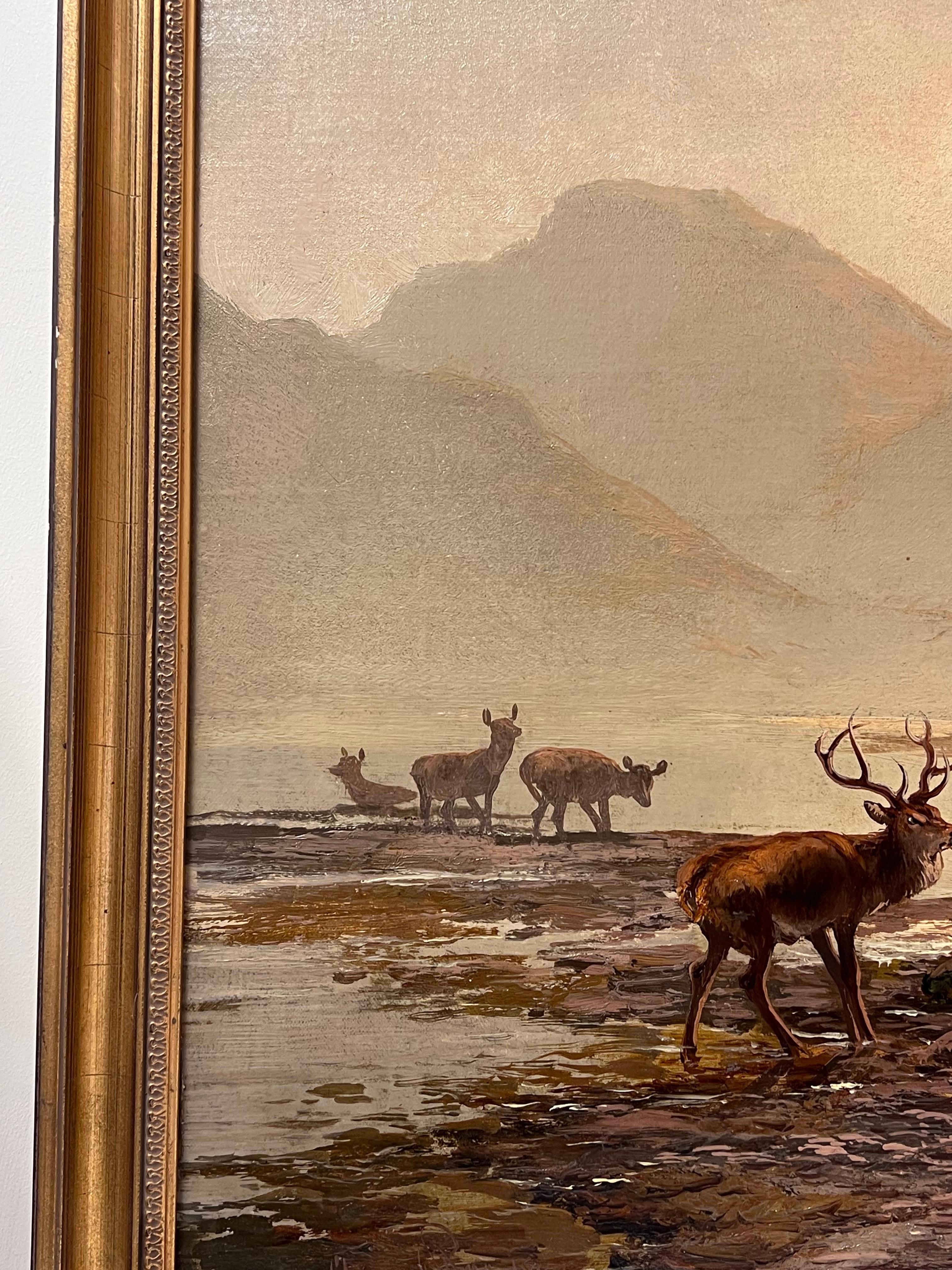 Grande peinture à l'huile victorienne écossaise Highland Family Stag & Deer Loch Sunrise - Marron Animal Painting par Clarence Roe 