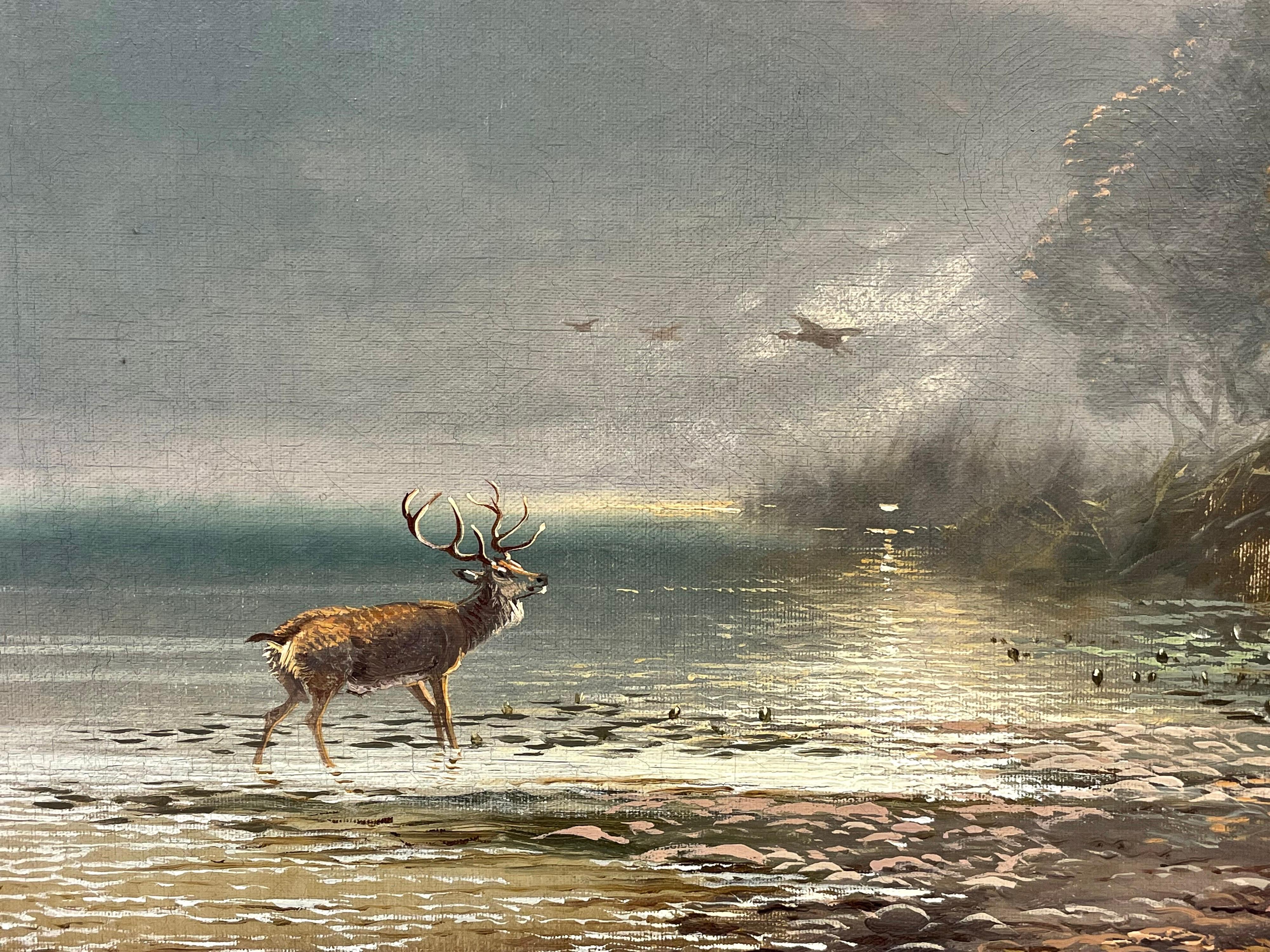 Antique Scottish Oil Painting Stag in Highland Loch Scene at Sunset Large Work - Gray Animal Painting by Clarence Roe