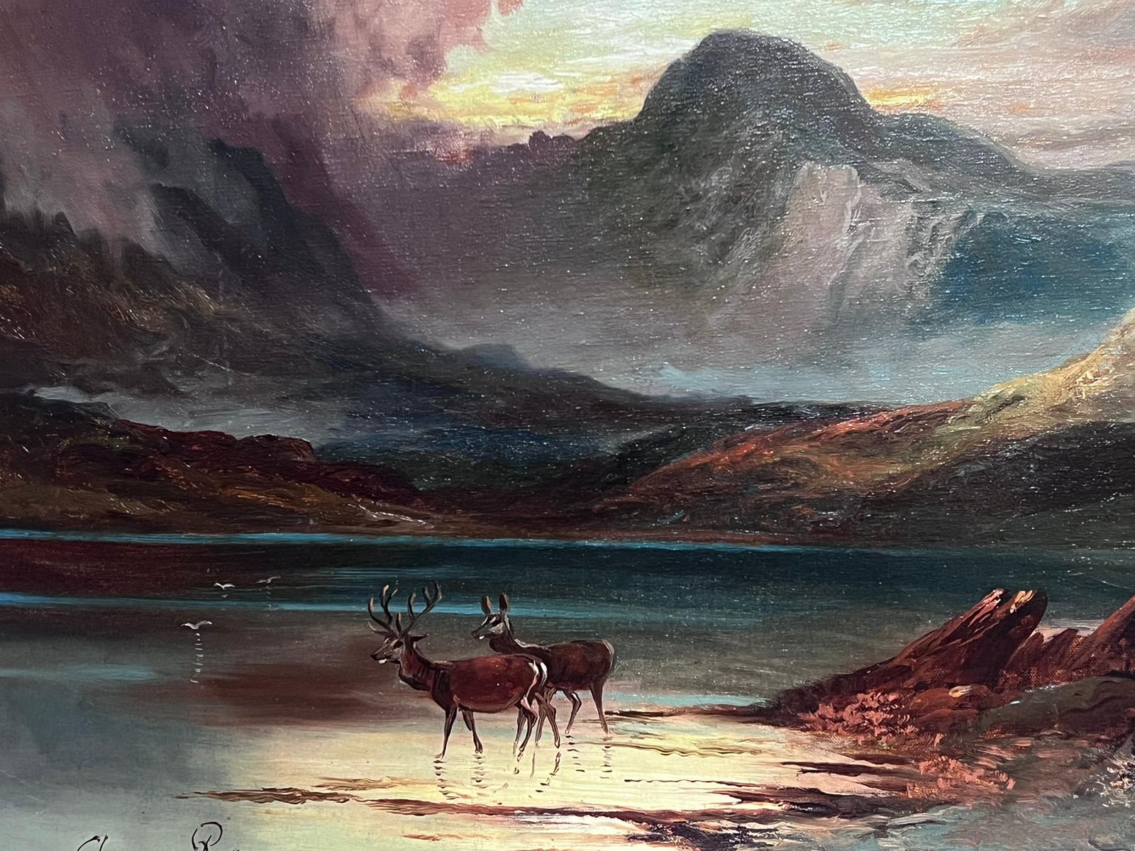 Puesta de sol en las Tierras Altas
de Clarence Henry Roe (británico, 1850-1909)
óleo sobre lienzo firmado, enmarcado
enmarcado: 27 x 37 pulgadas
cuadro: 20 x 30 pulgadas
procedencia: colección privada, Inglaterra
estado: muy bueno y en buen estado