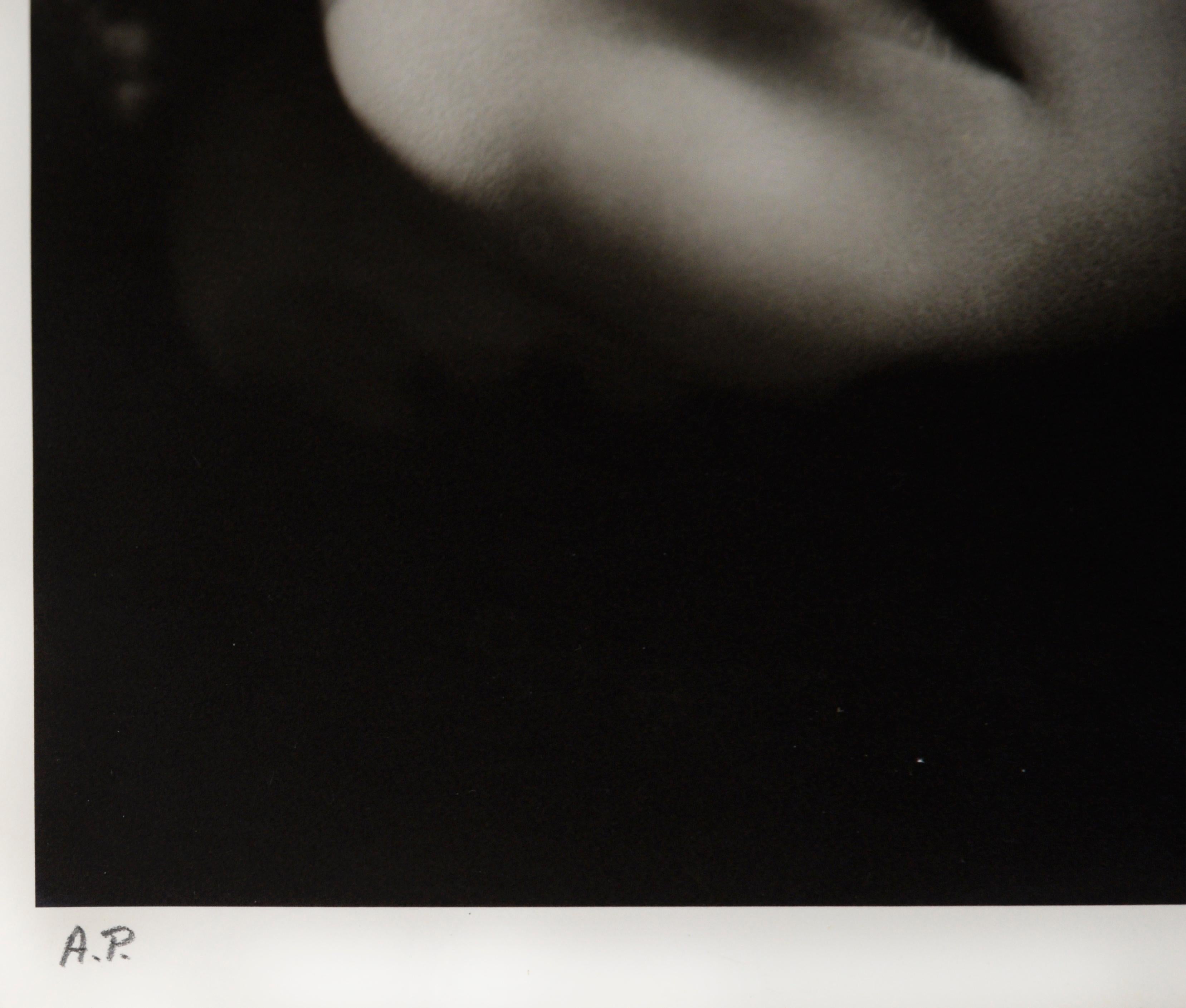 Greta Garbo „Her Rise And Fall #2“ - 1931 Fotografie von Clarence Sinclair Bull im Angebot 6
