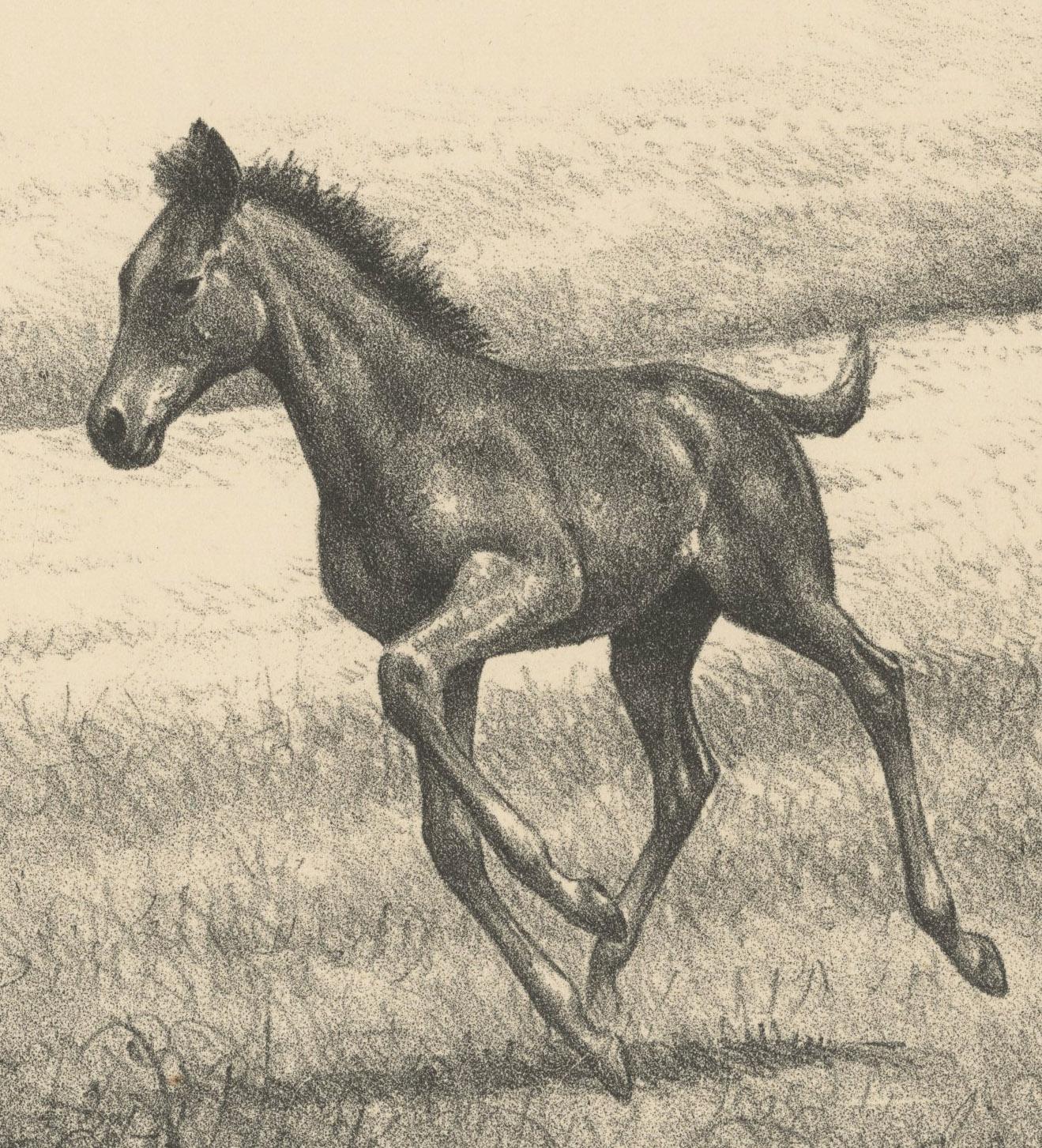 Frühe Geschwindigkeit – Print von Clarence W. Anderson