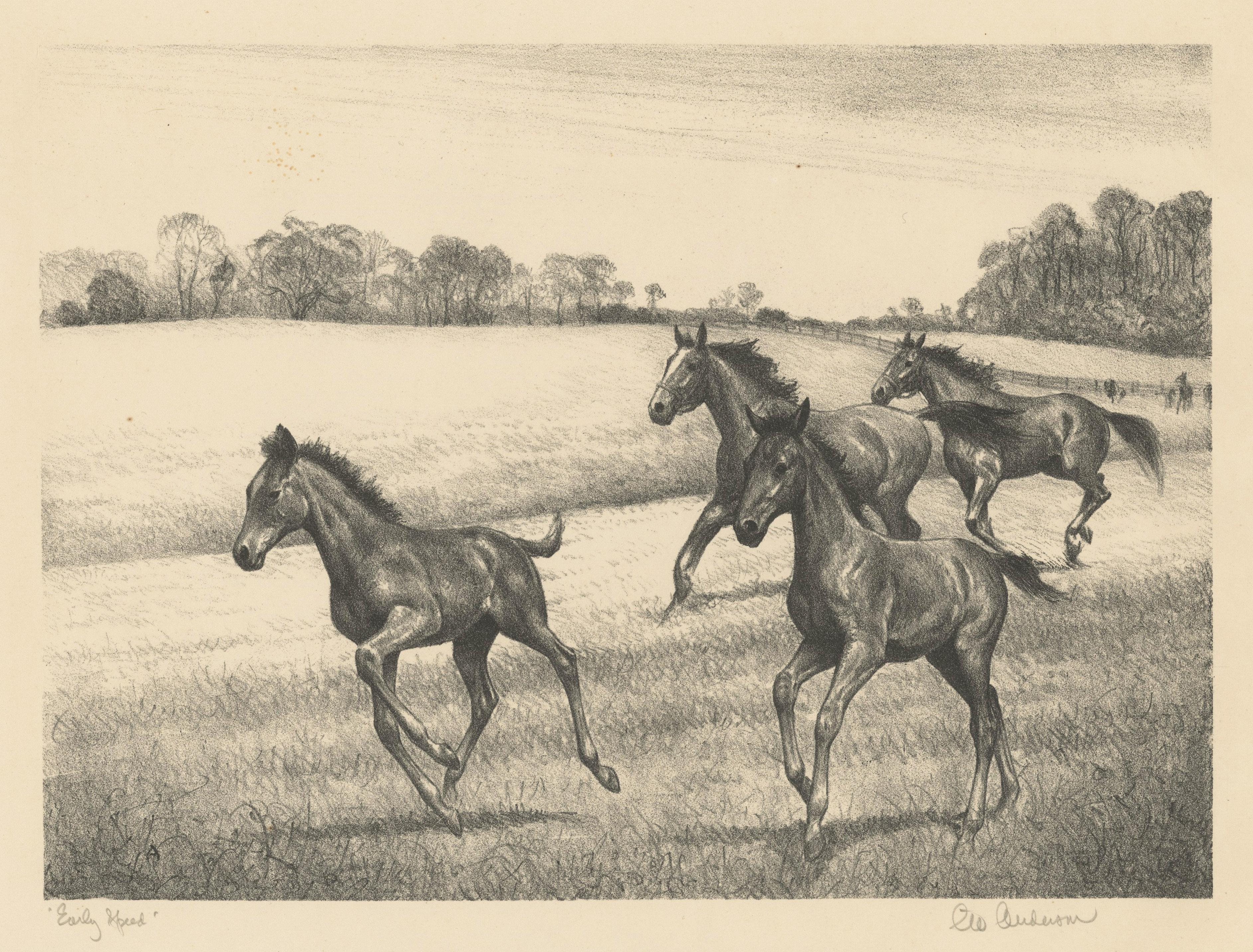 Clarence W. Anderson Animal Print – Frühe Geschwindigkeit