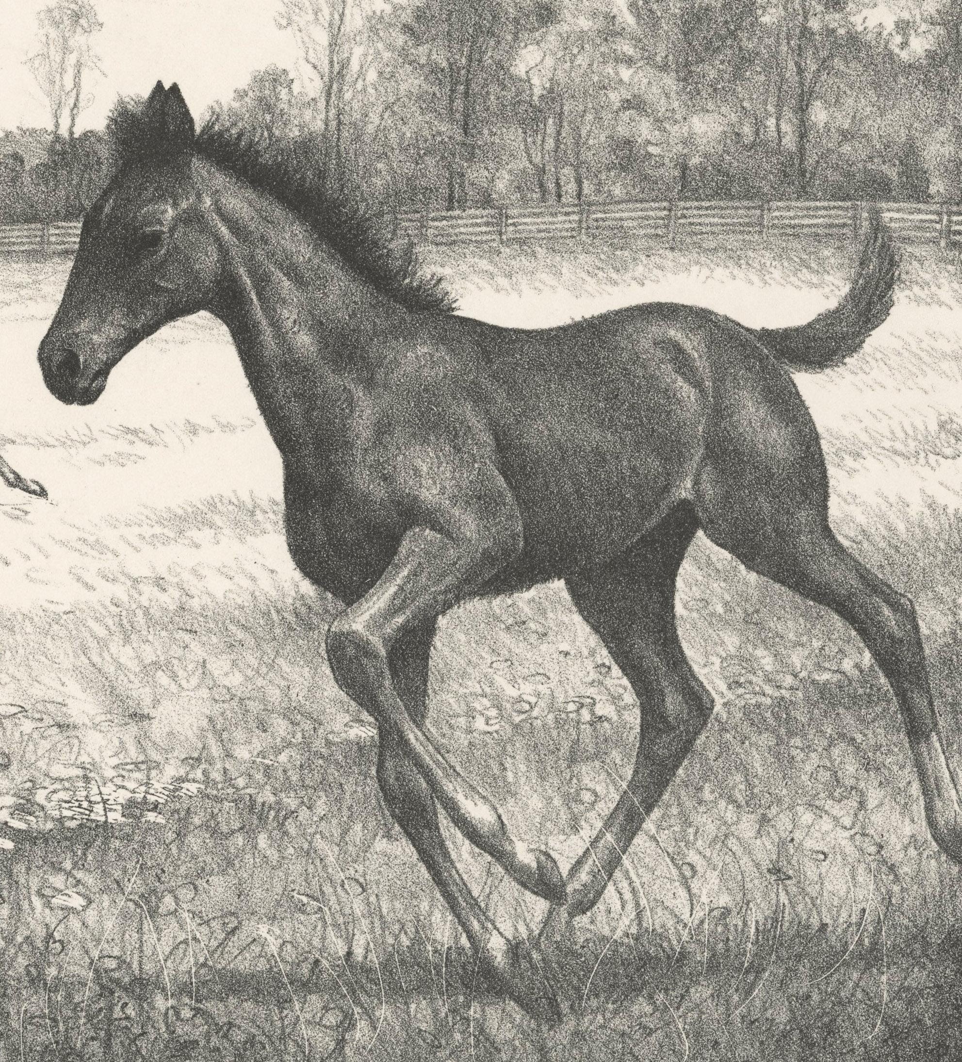 First Try - Print by Clarence W. Anderson