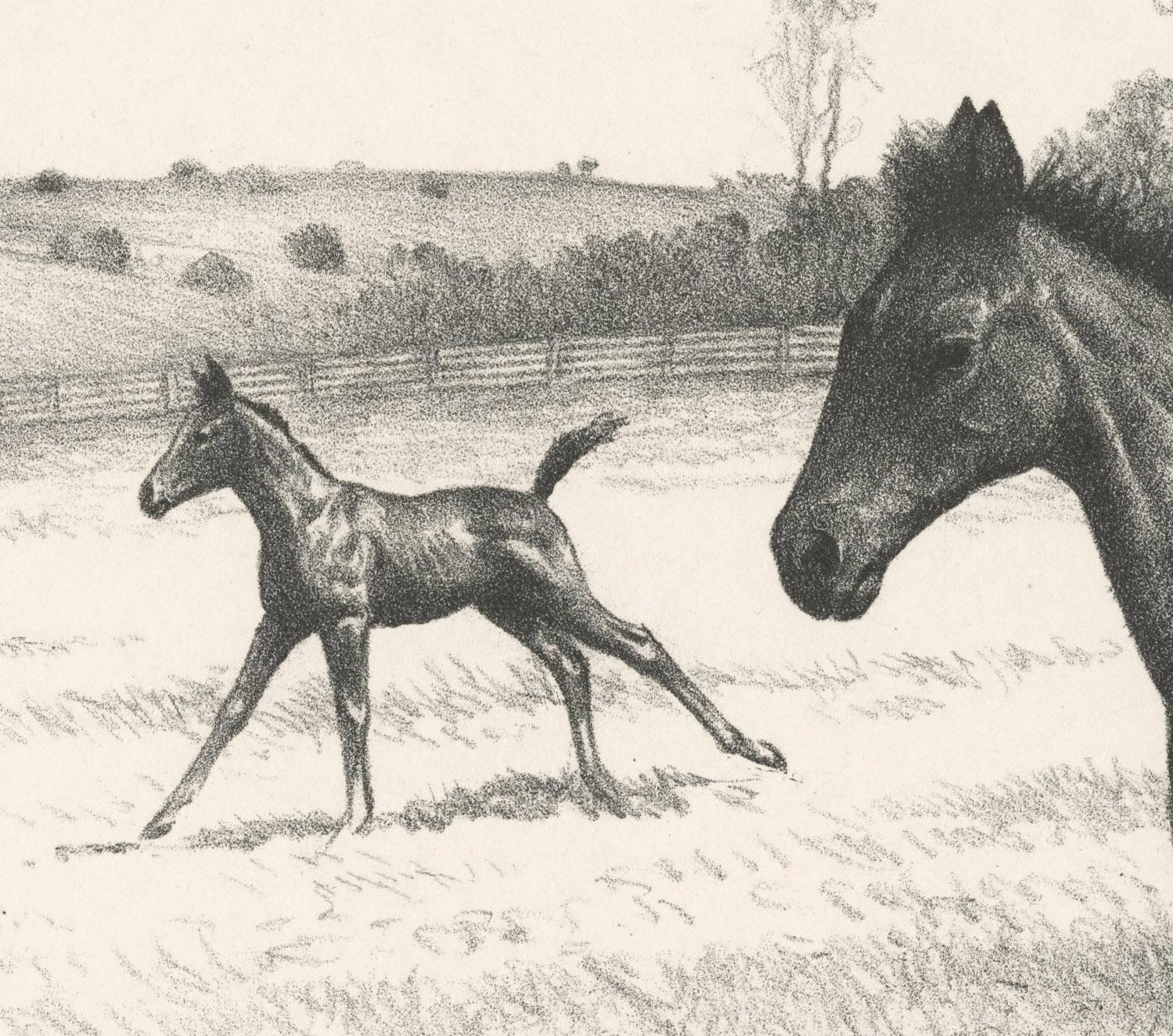 cw anderson horse prints