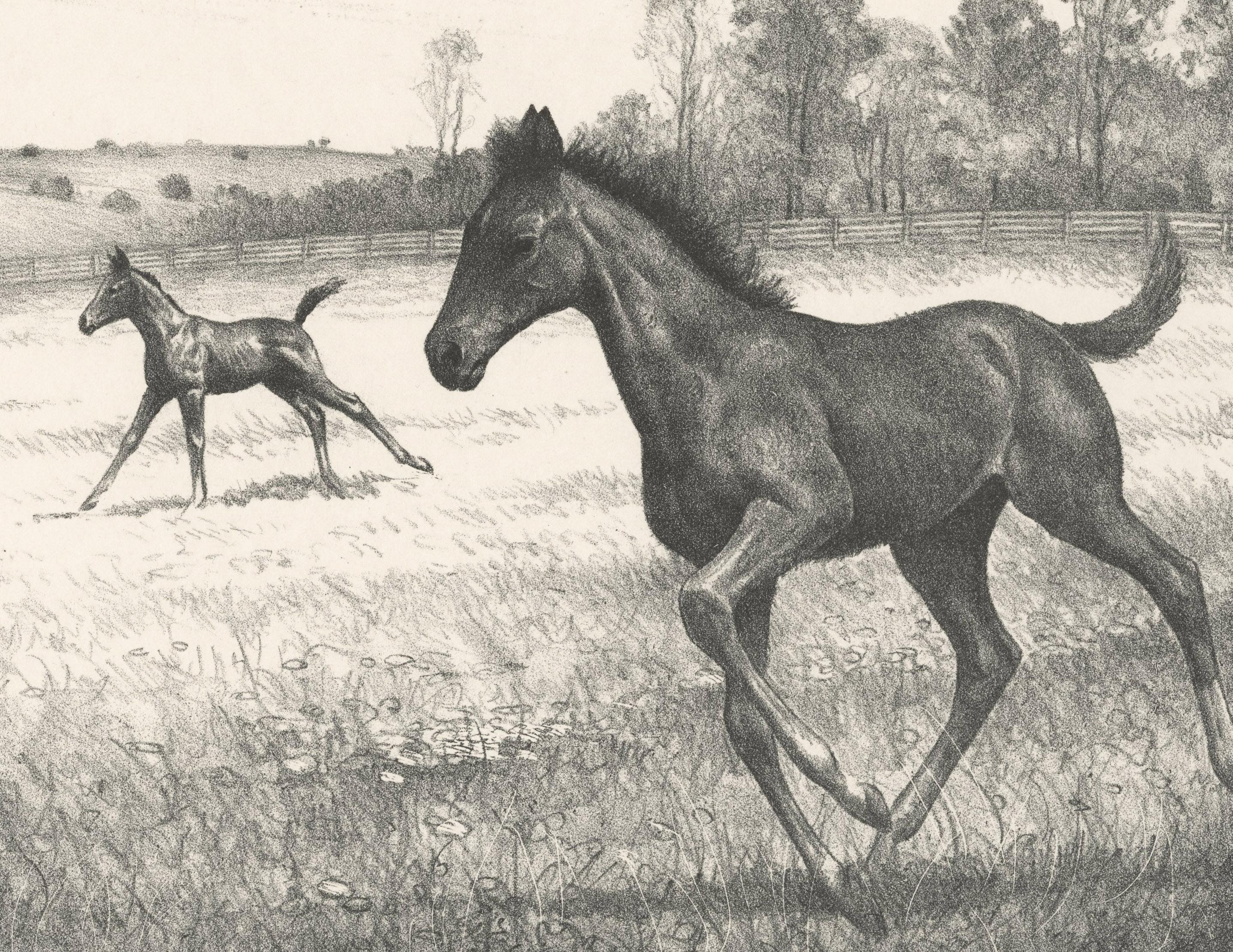 c.w. anderson horse prints