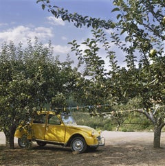 Gelber Wagen