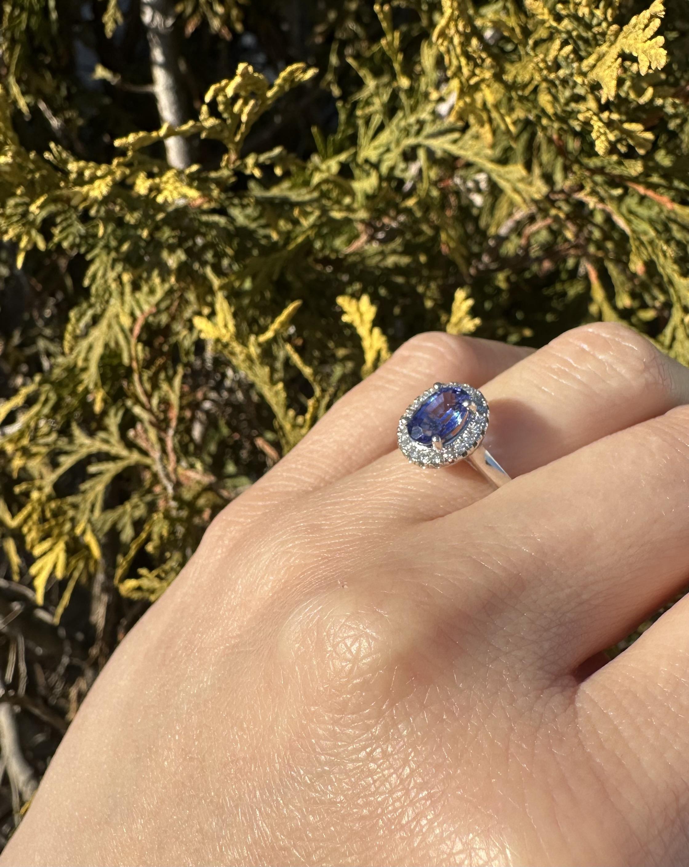 De las mujeres Anillo clásico de oro blanco de 14 quilates con tanzanita azul violeta ovalada de 1,58 quilates y halo de diamantes en venta