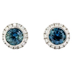 Classic 1.63ctw Montana Sapphire & Diamond Halo Stud Earrings in White Gold
