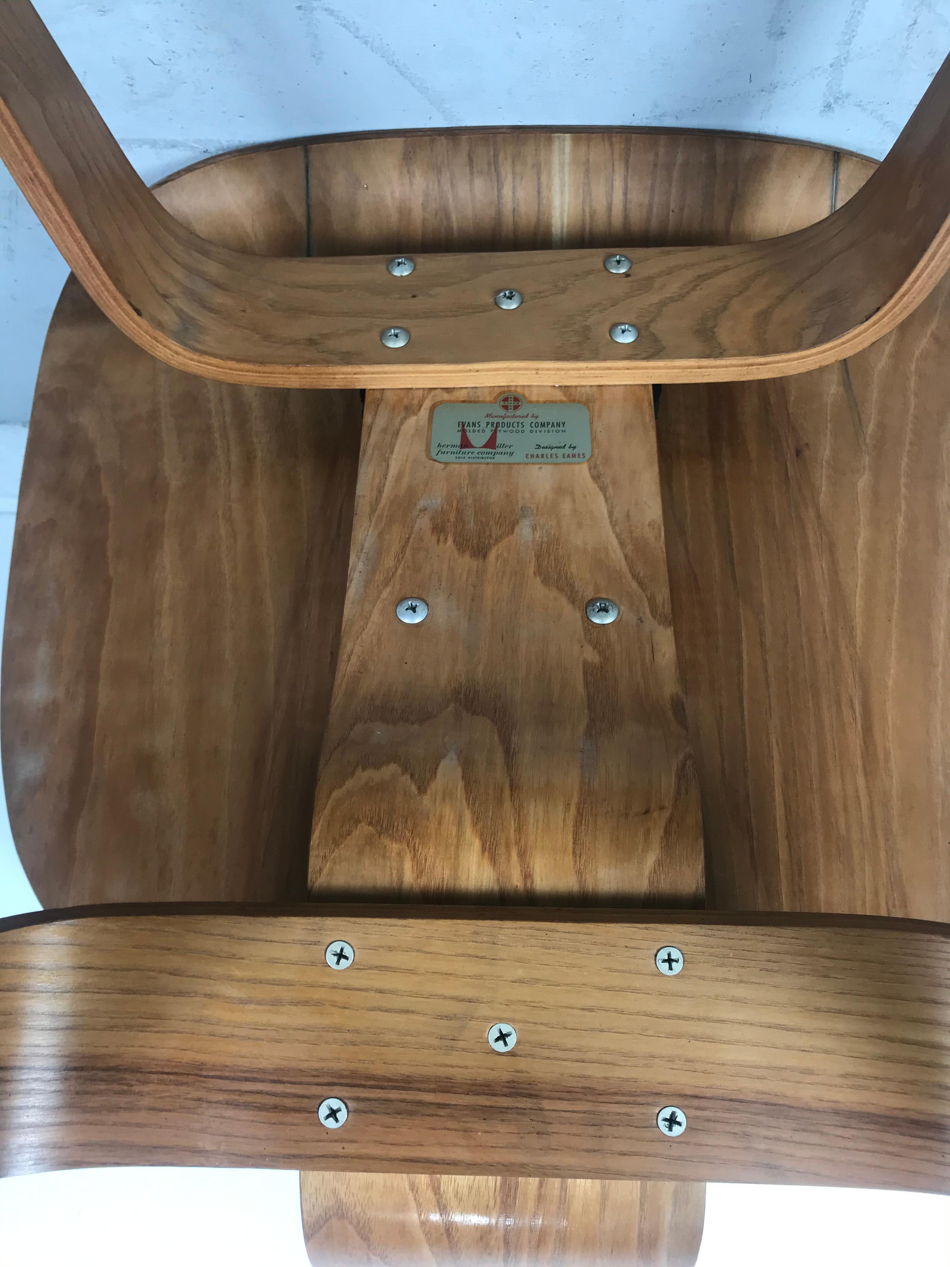 L'un des plus beaux exemples que j'ai possédés depuis longtemps, superbe contreplaqué de bouleau figuré, vers le début des années 1946-1947, A.C&W (Lounge chair wood) conçu par Charles et Ray Eames, fabriqué par Evans / Herman Miller. Il conserve