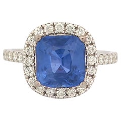 3.6 Ct Cushion Cornflower Blue Sapphire with Halo Diamonds 14K White Gold Ring