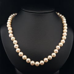 Collier classique de perles de culture de 6,5-7 mm avec fermoir en or blanc 14k filigrané