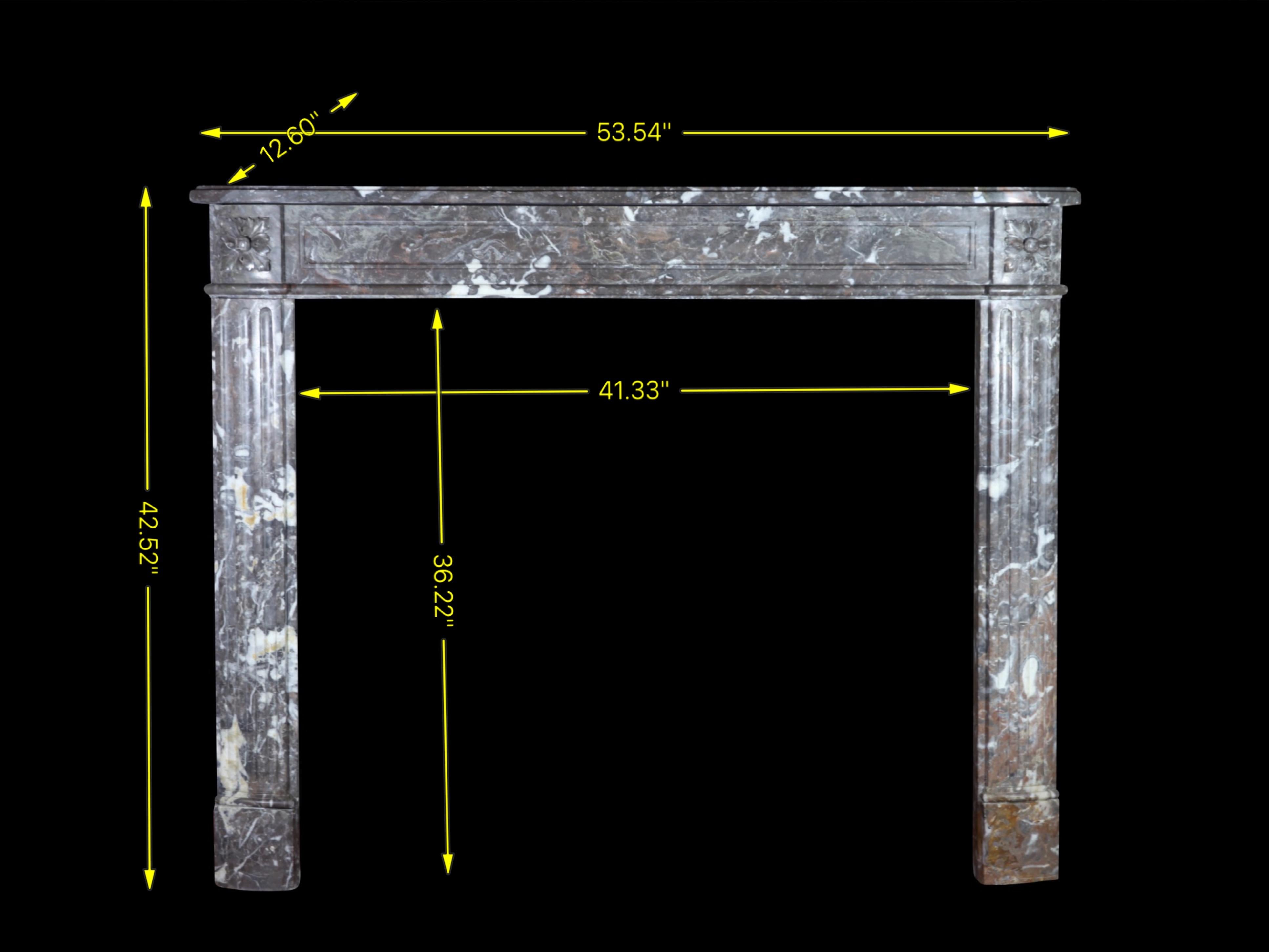 Classic Antique Belgian Grey Marble Louis XVI Fireplace Surround For Sale 7