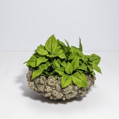 Bol Classic moyen en pyrite