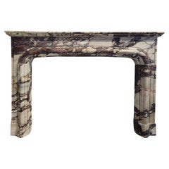 Classic Breccia Viola Marble Fireplace in 19th Century French Style